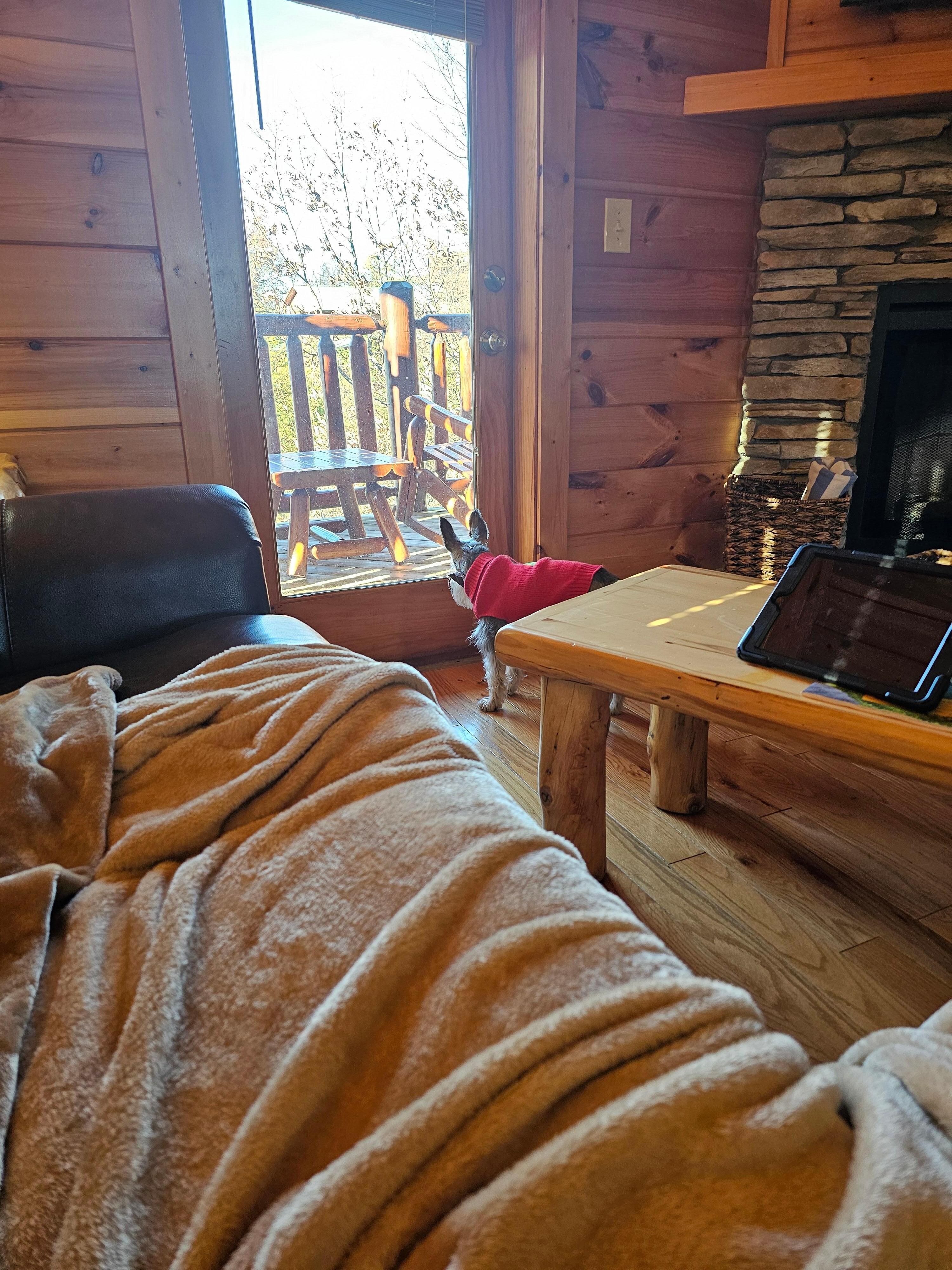 Fur baby loved the getaway