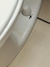 How we found the bottom of the toilet