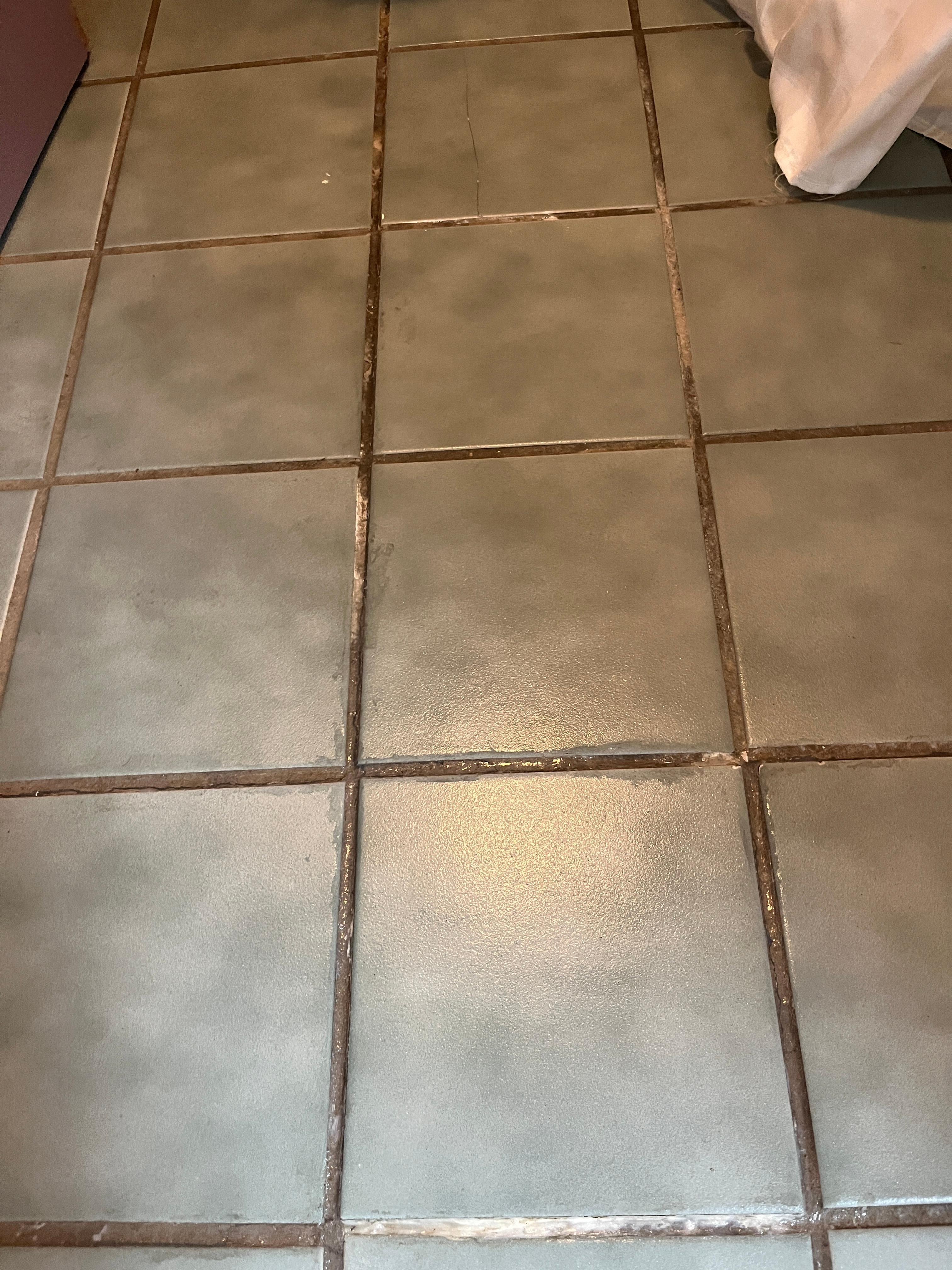 Water from toilet leaking between tiles