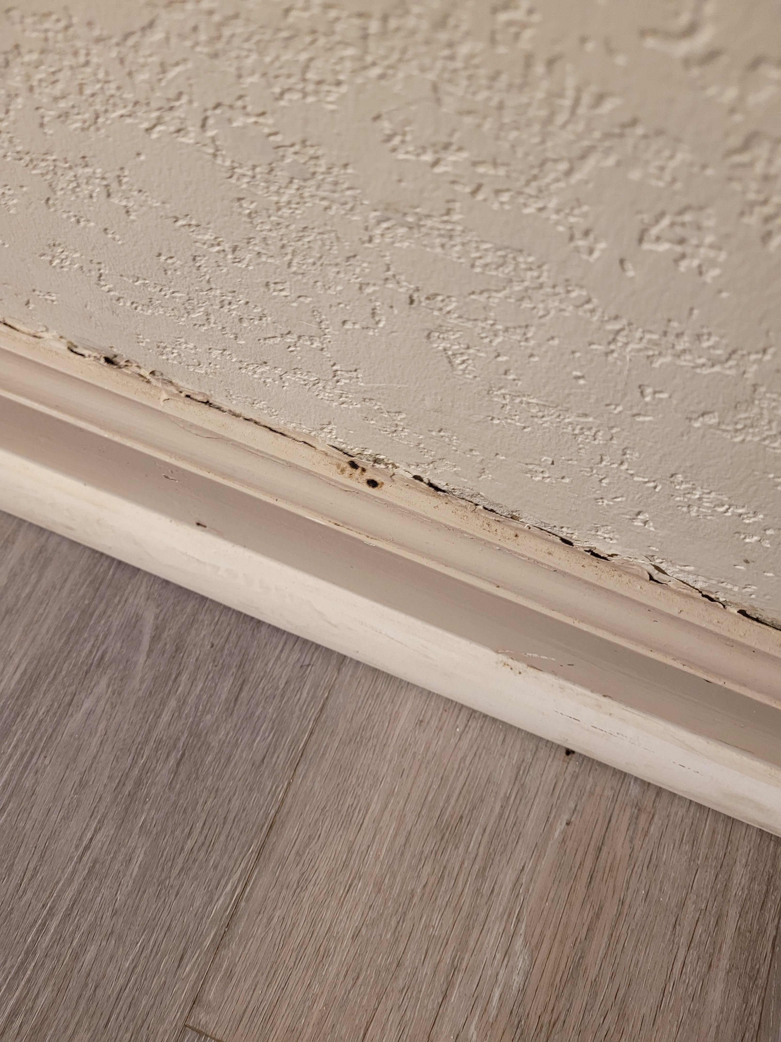 More mold