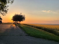 Sonnenuntergang vom Garten aus