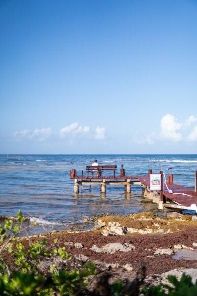 Feel privileged, this is the only dock on the bay!  