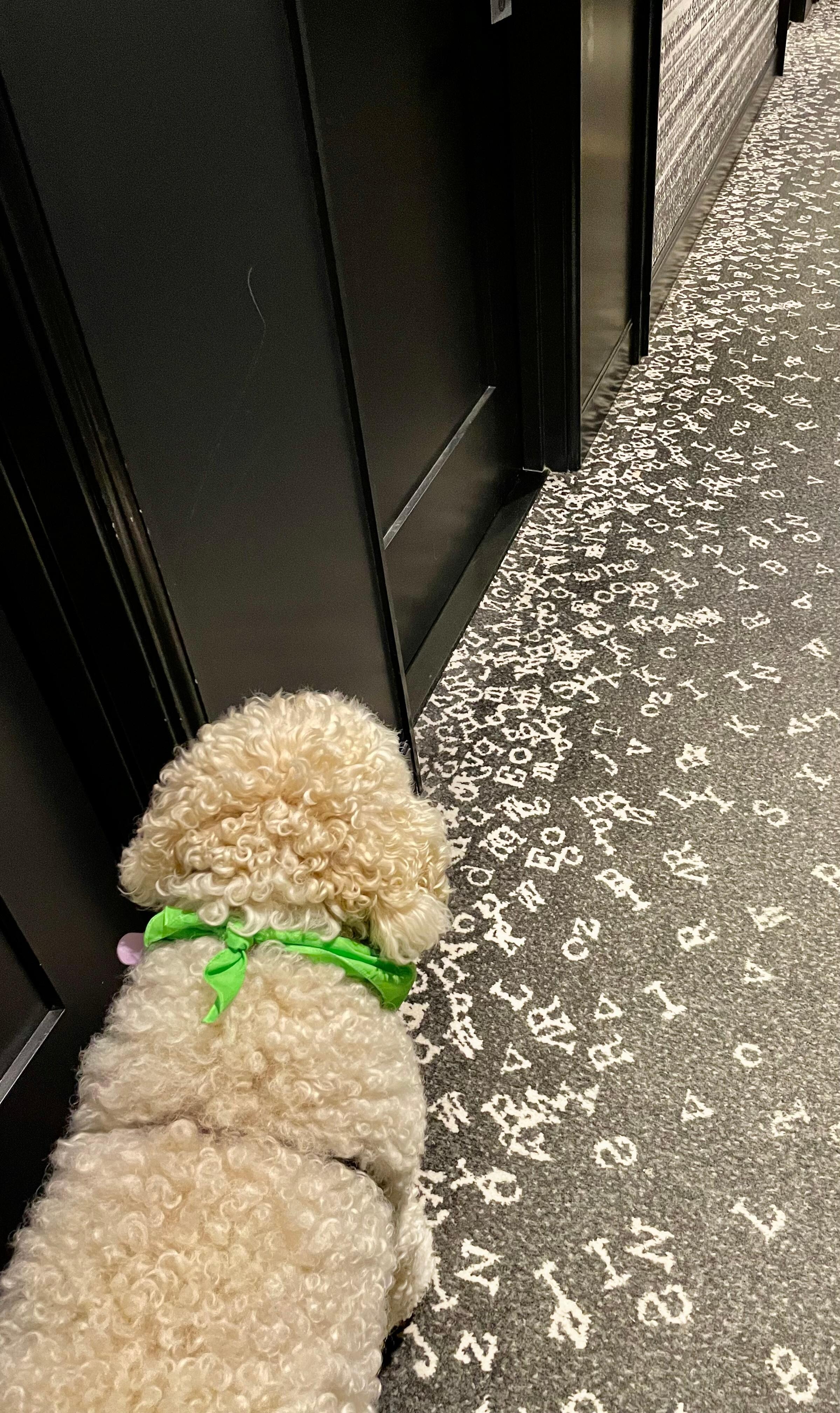 Carpeting in the hallway displaying typed letters