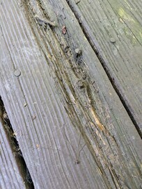 Exposed Nails everywhere