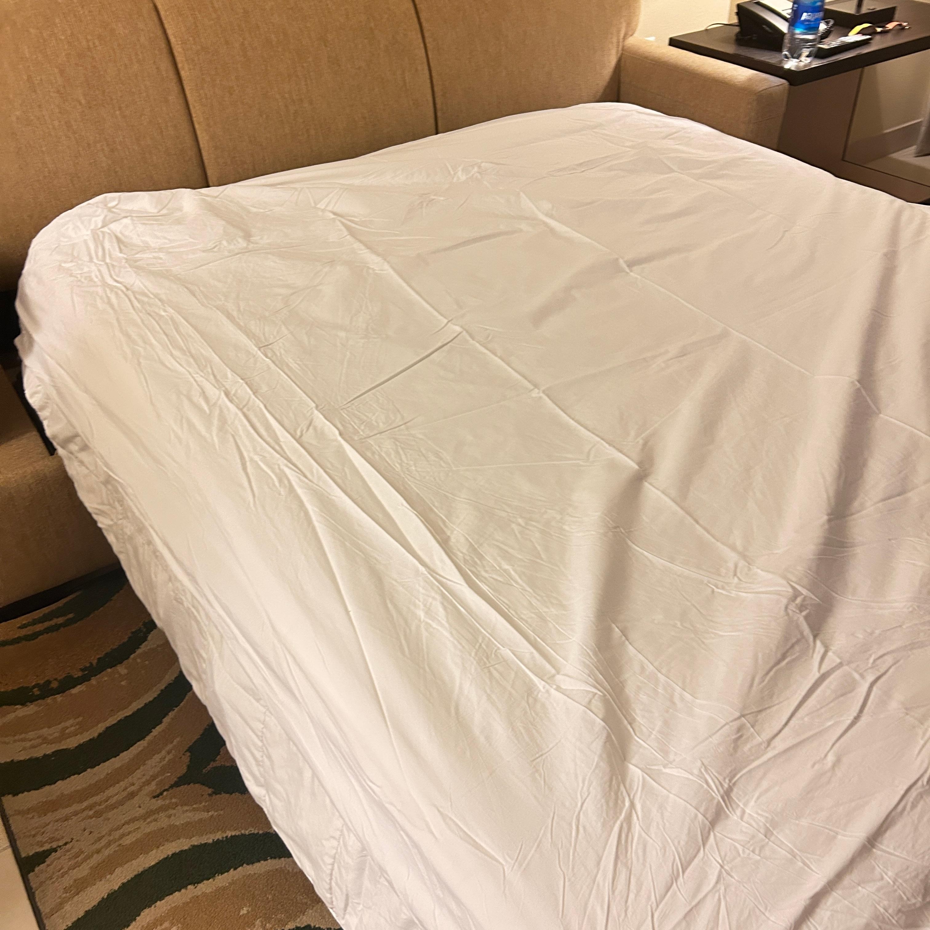 Extra living room sofa bed