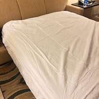 Extra living room sofa bed