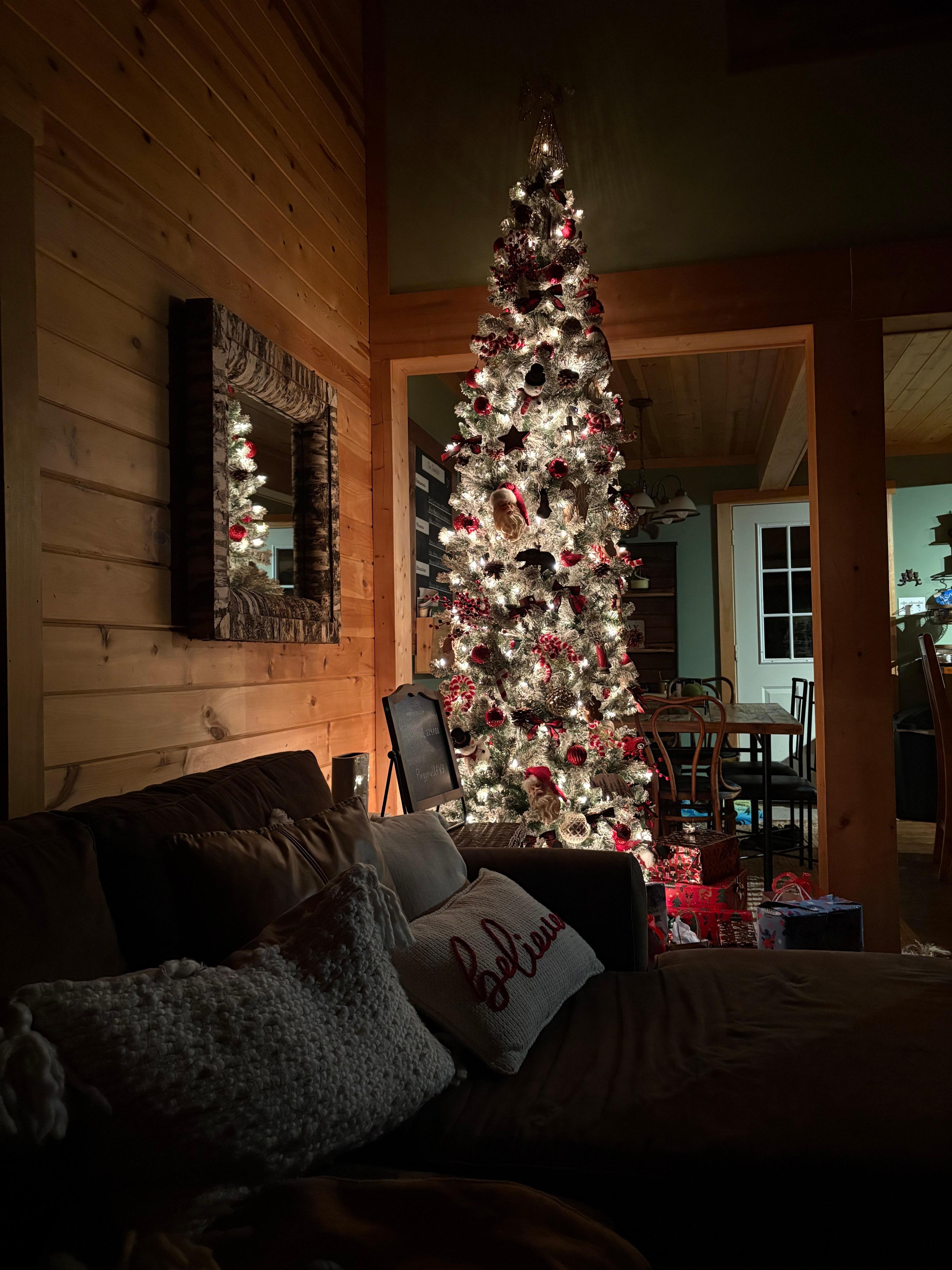 Gorgeous Christmas tree in living room!