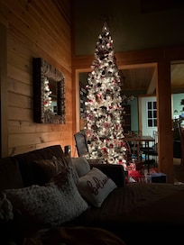 Gorgeous Christmas tree in living room!