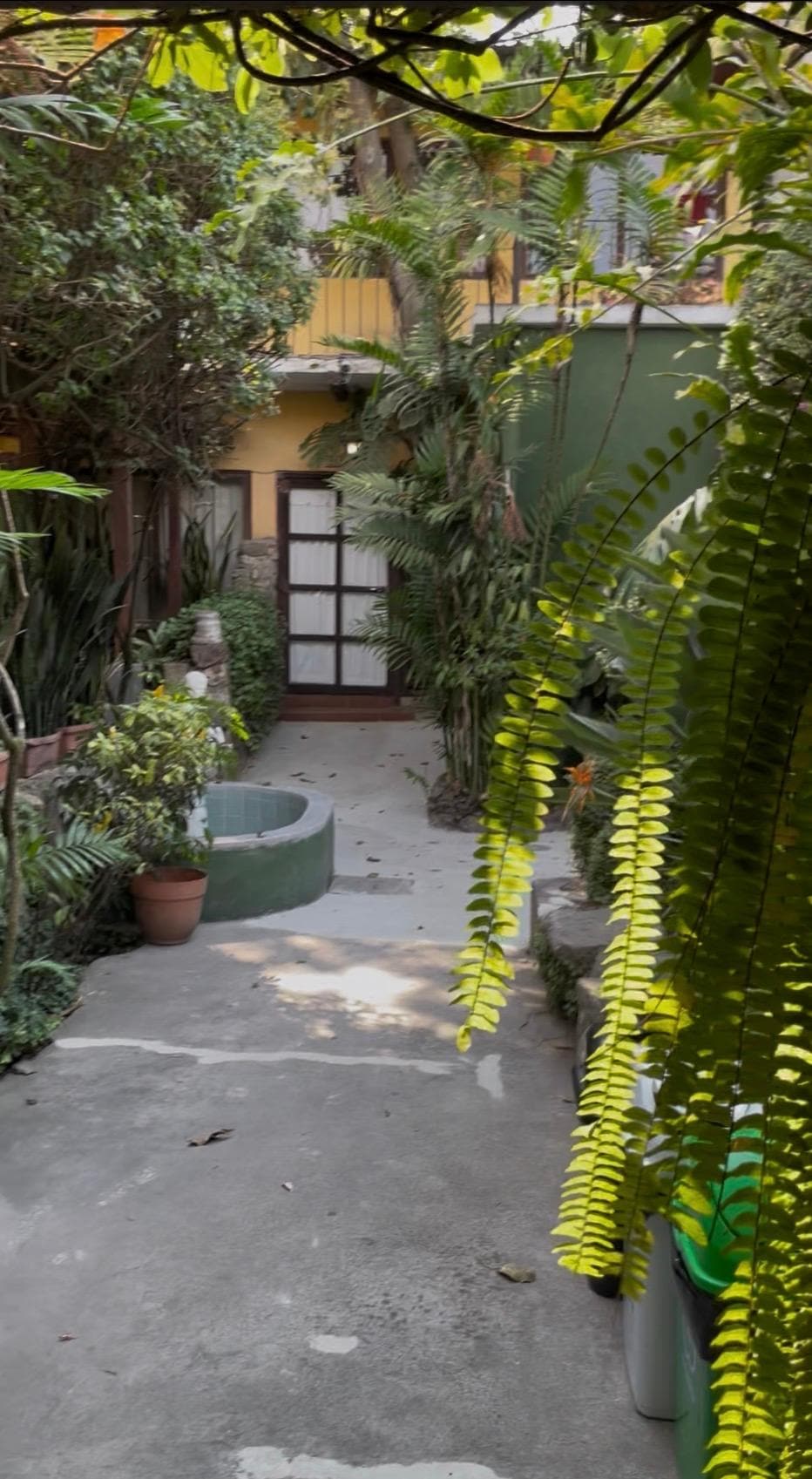 Cozy little place all green and fresh 