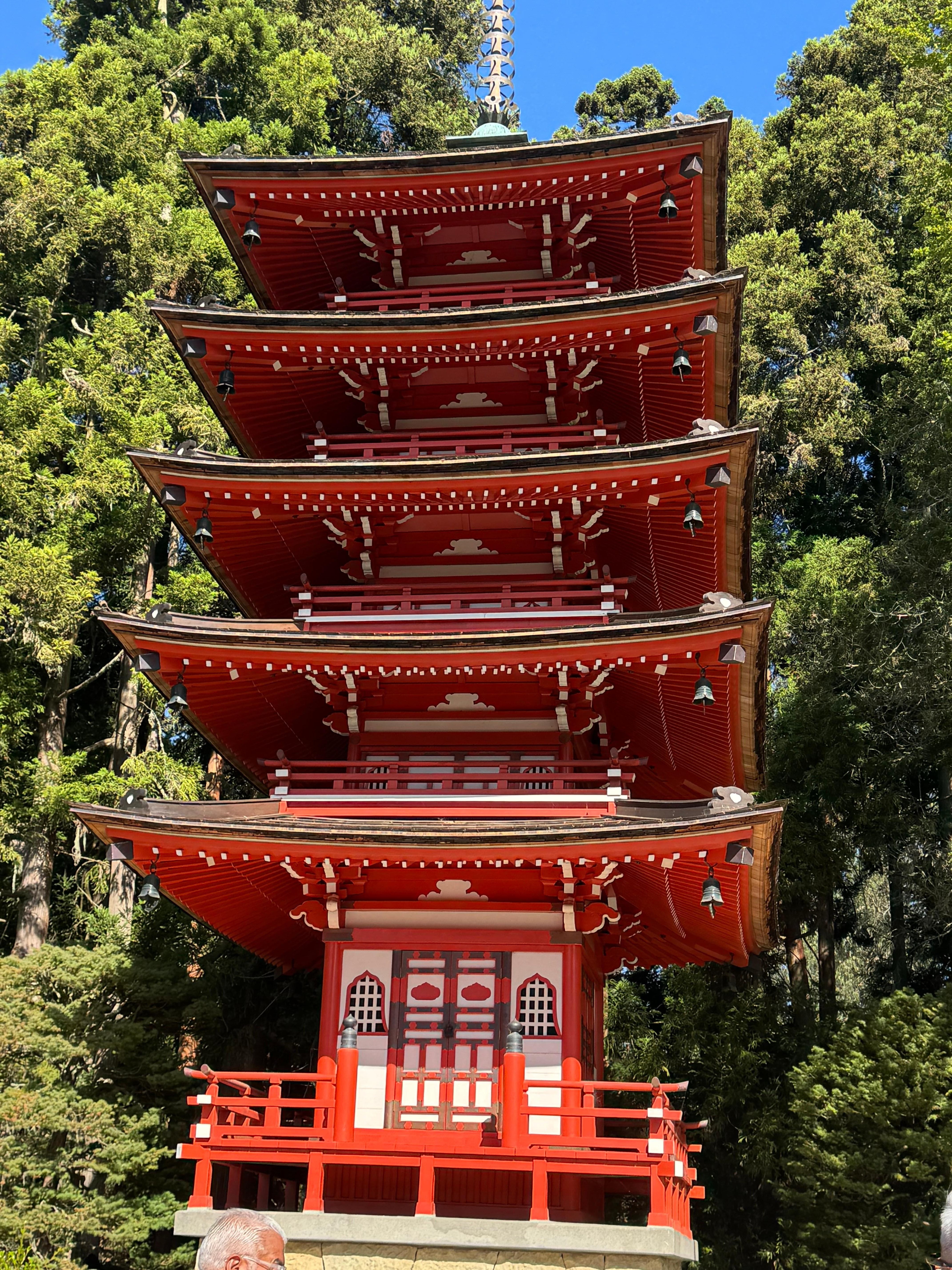 Experience Japanese gardens