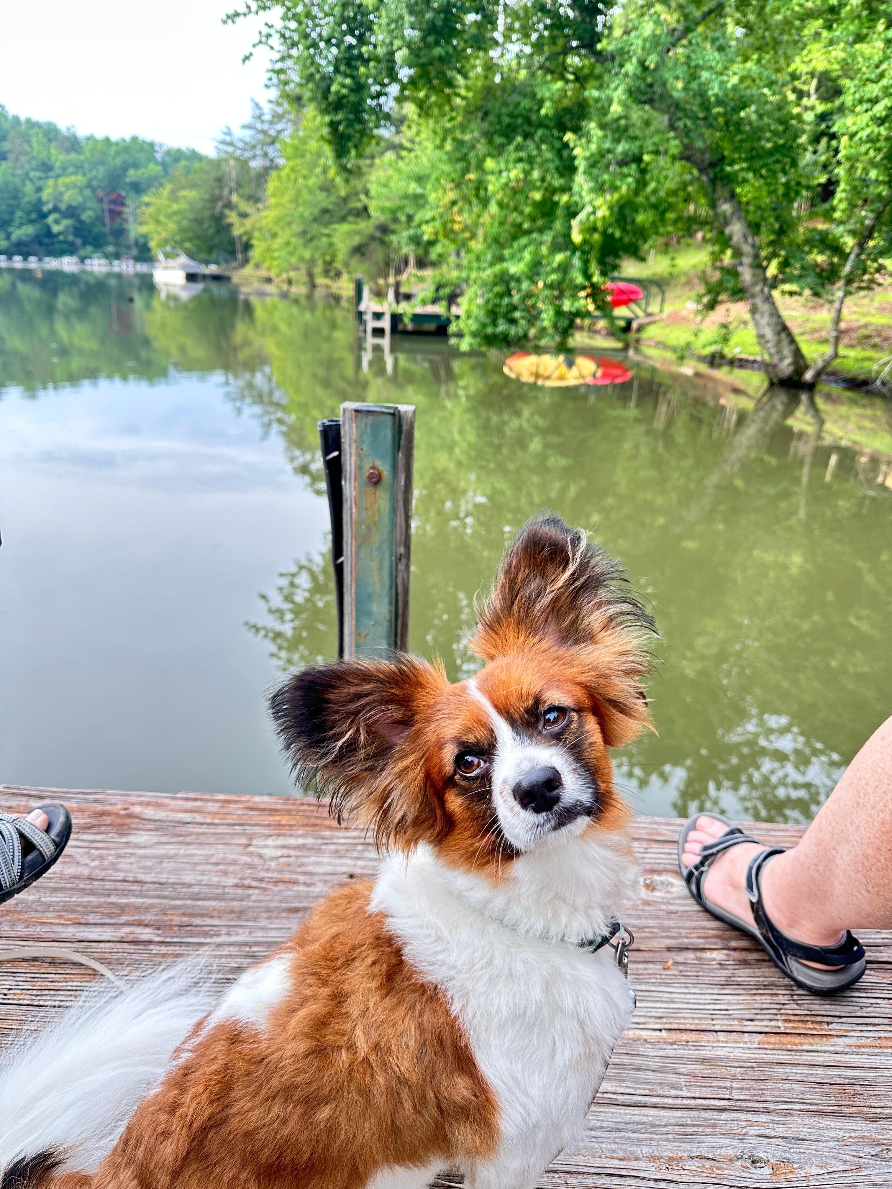 Morning coffee on the dock