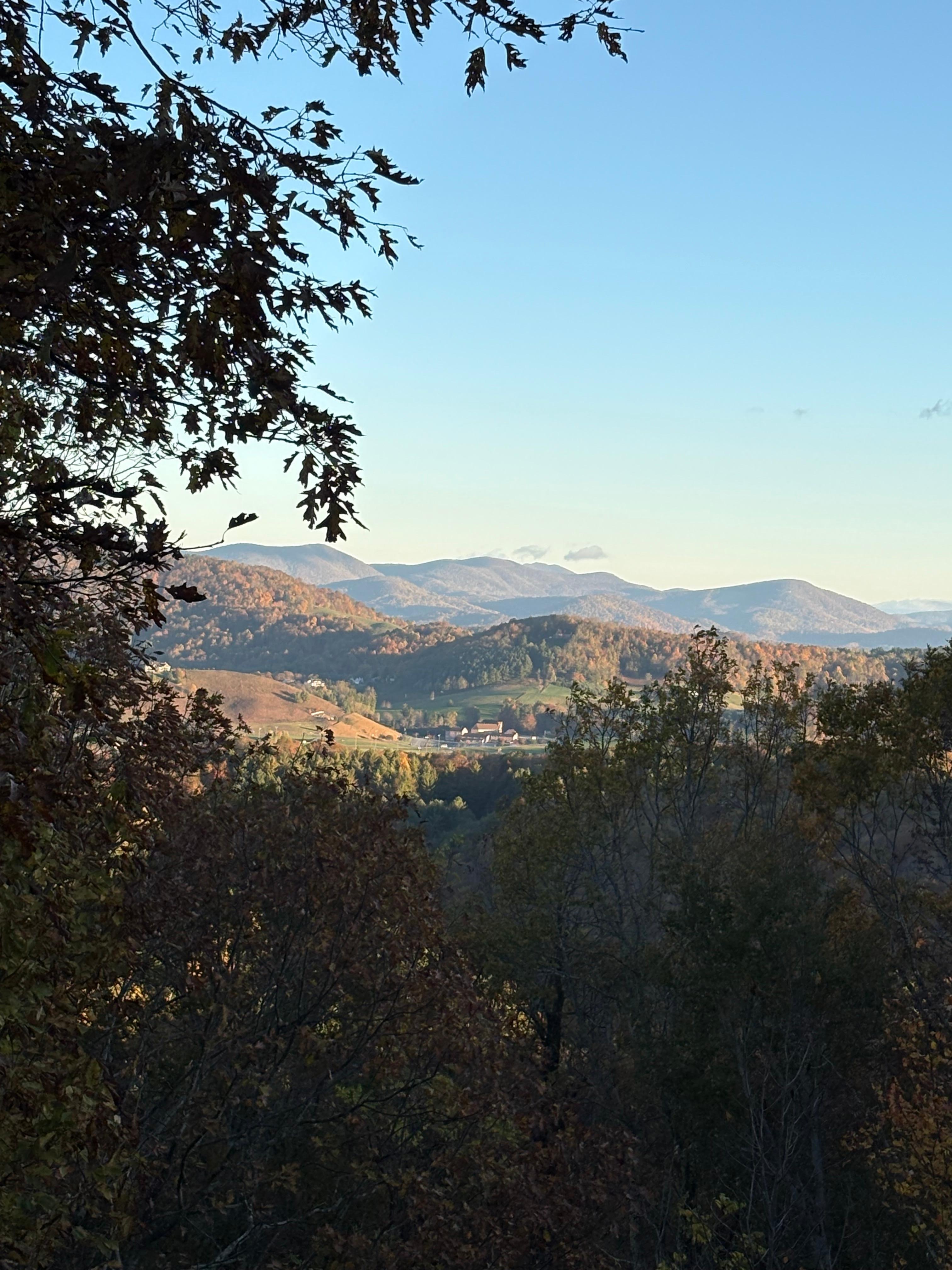 View from the deck one day