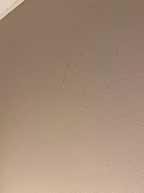 Dusty walls