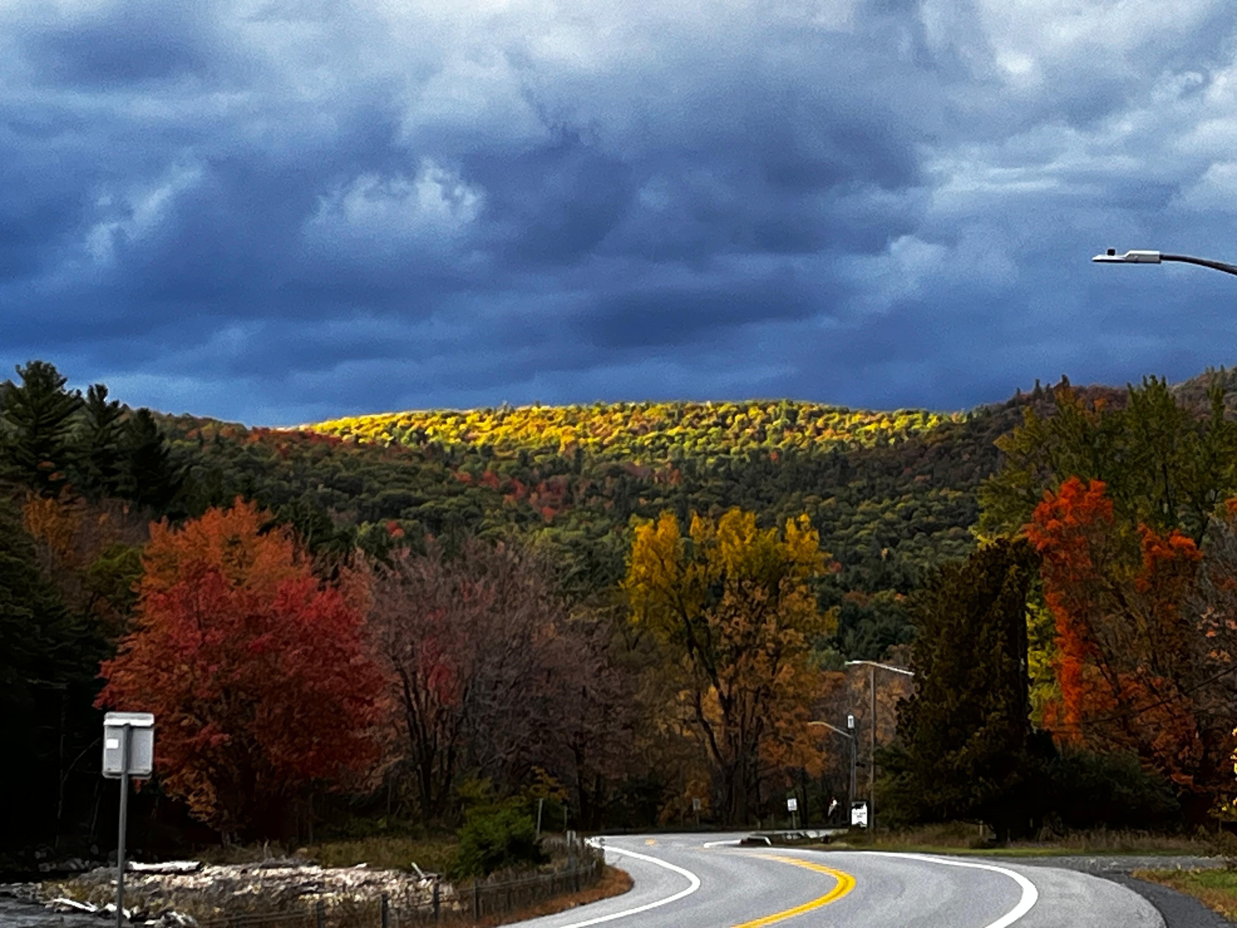 Looking north on Rt 9N at end of driveway. 