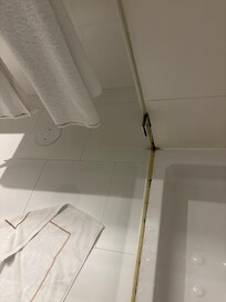 Mold in showers