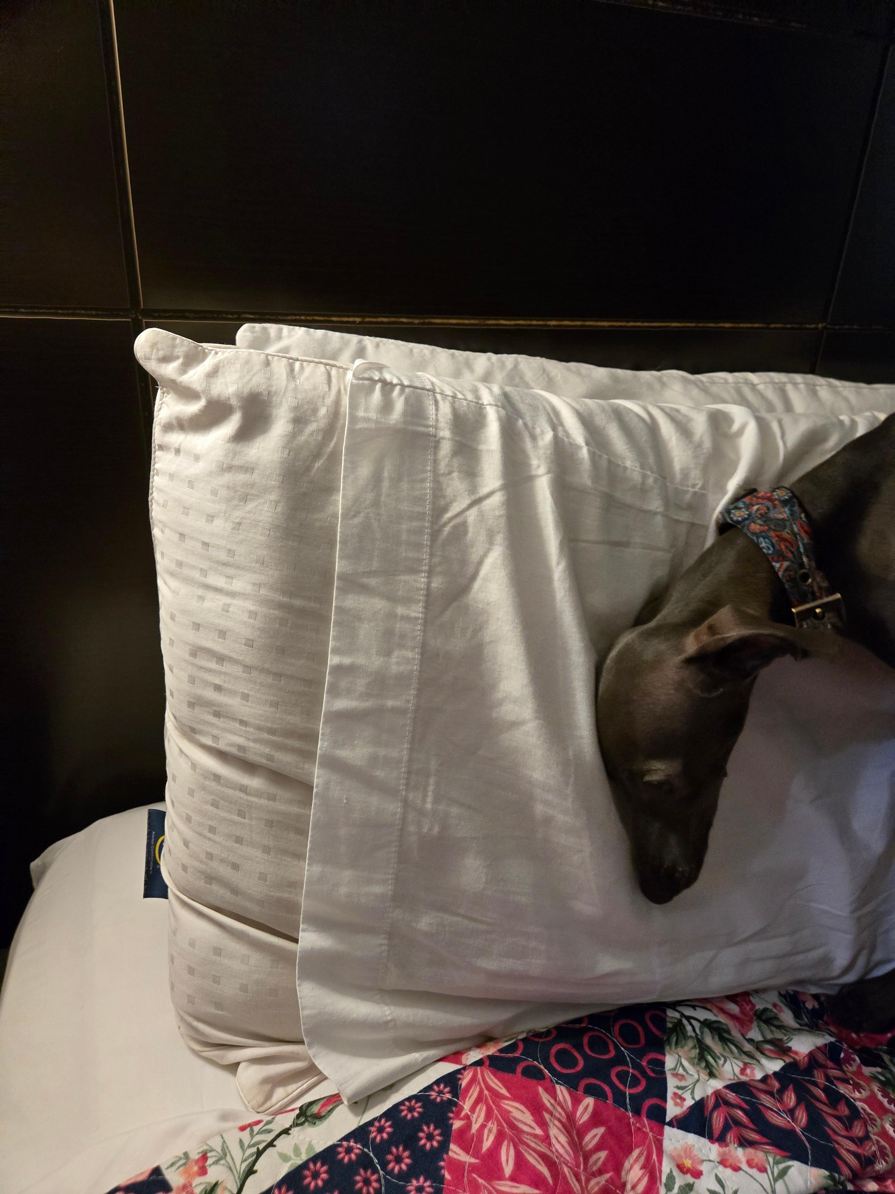 pillow cases that do not fit the pillow