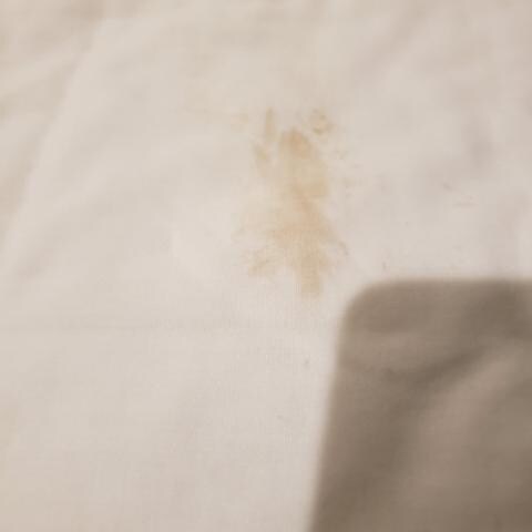 Old Blood Stain Lower Left Side on the fitted sheet