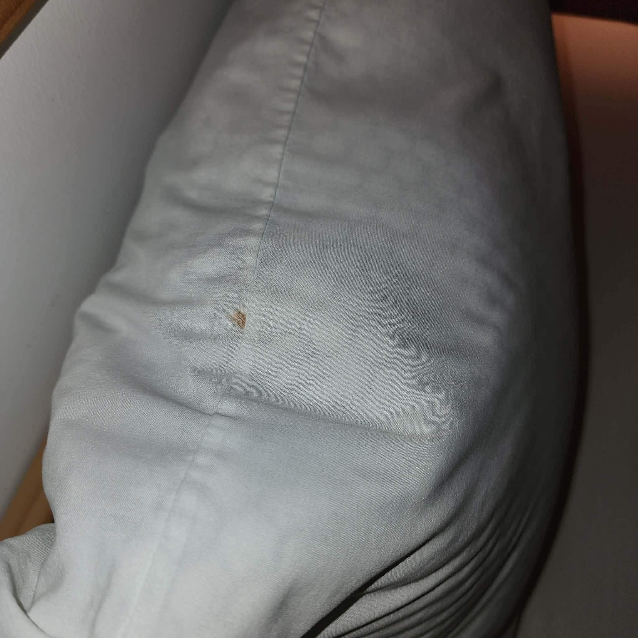 stains on the pillows, possibly blood