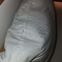 stains on the pillows, possibly blood