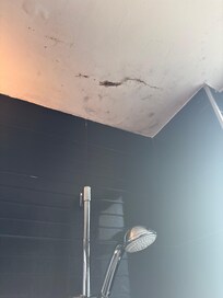 Moisissures en haut de la douche