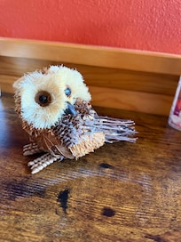 The Owl that Greets You