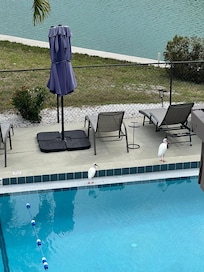 Pool and canal from living room window