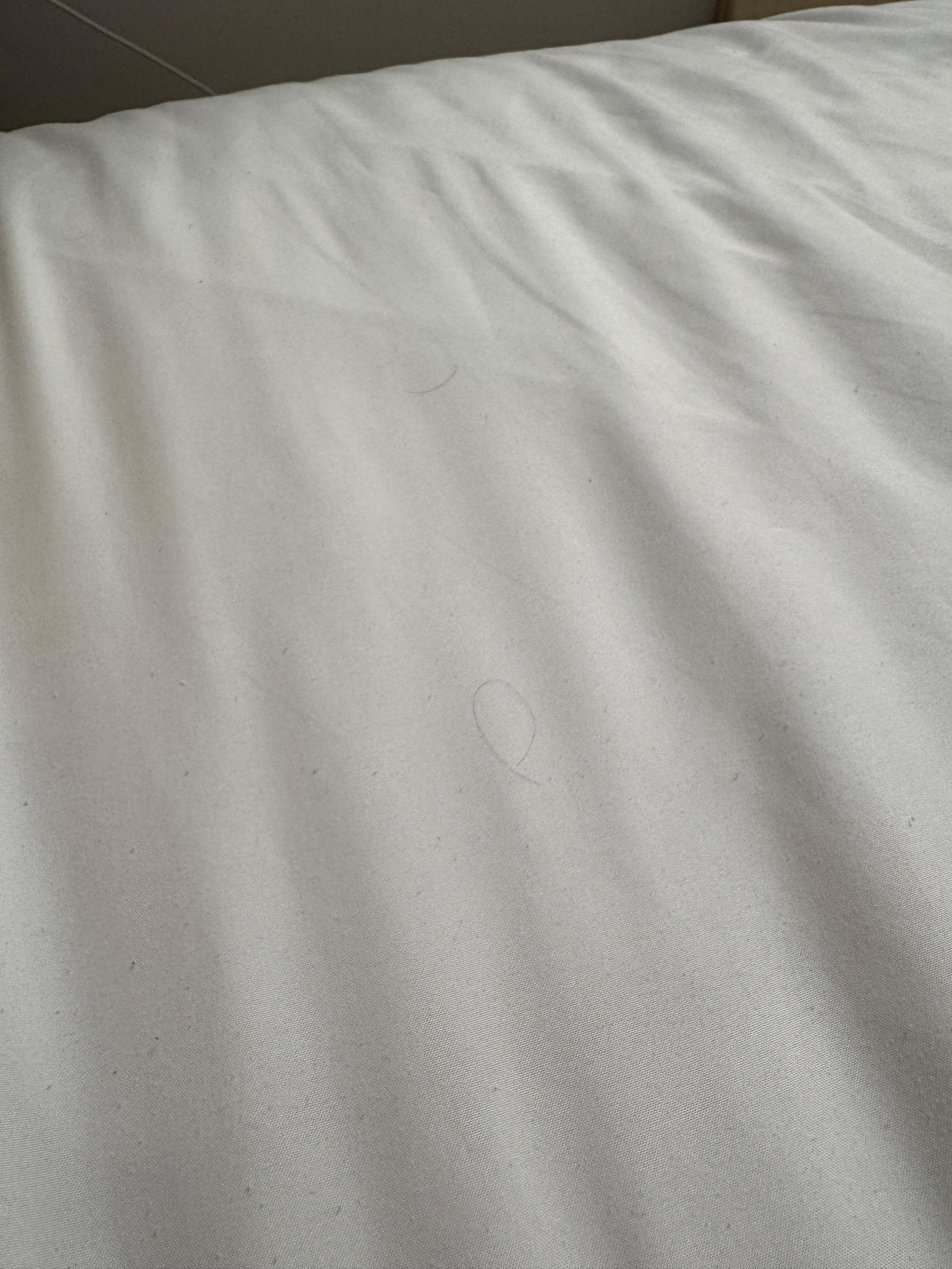 Überall fremde Haare auf dem Bett