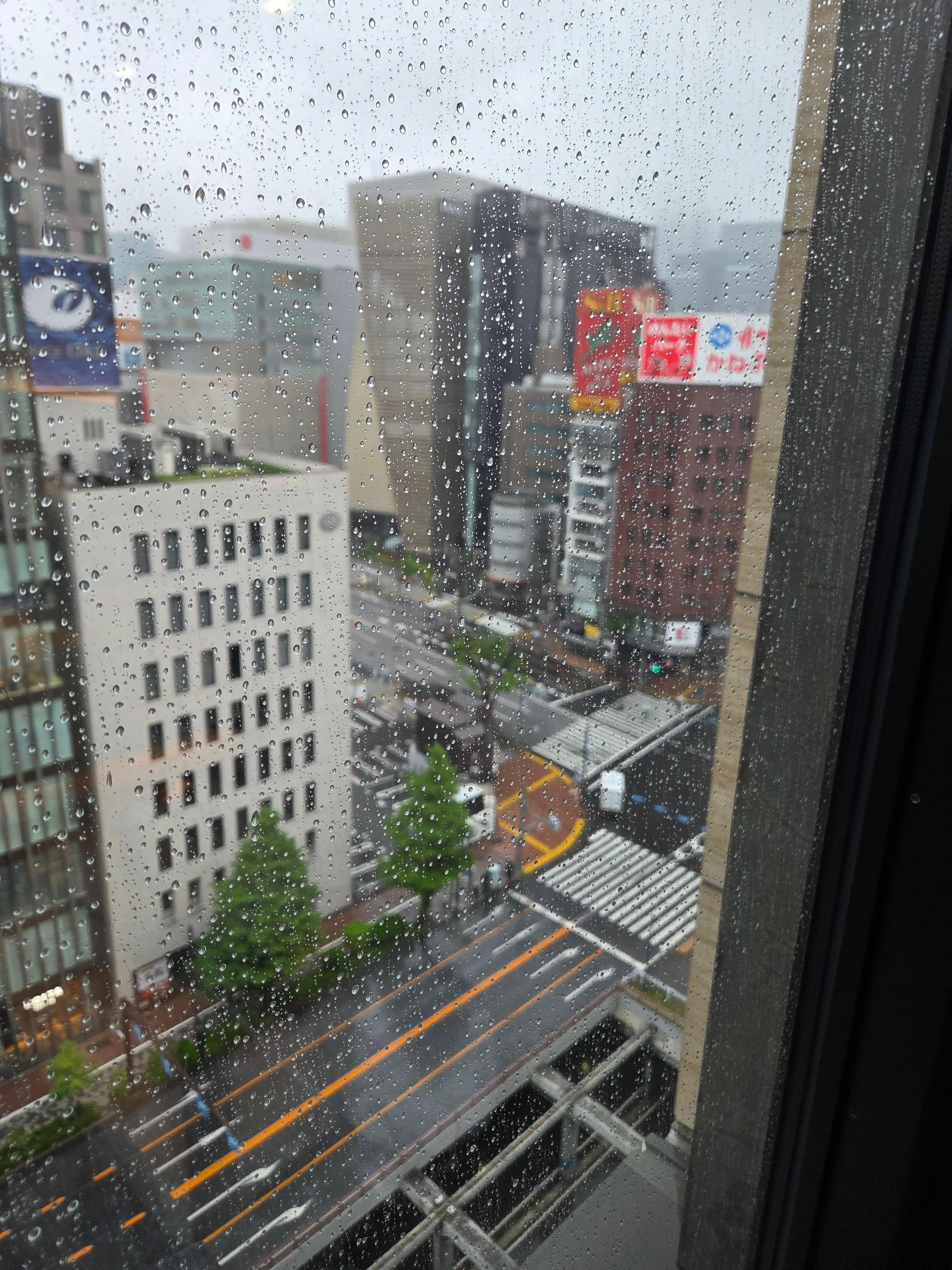 객일서 보이는 긴자 거리

