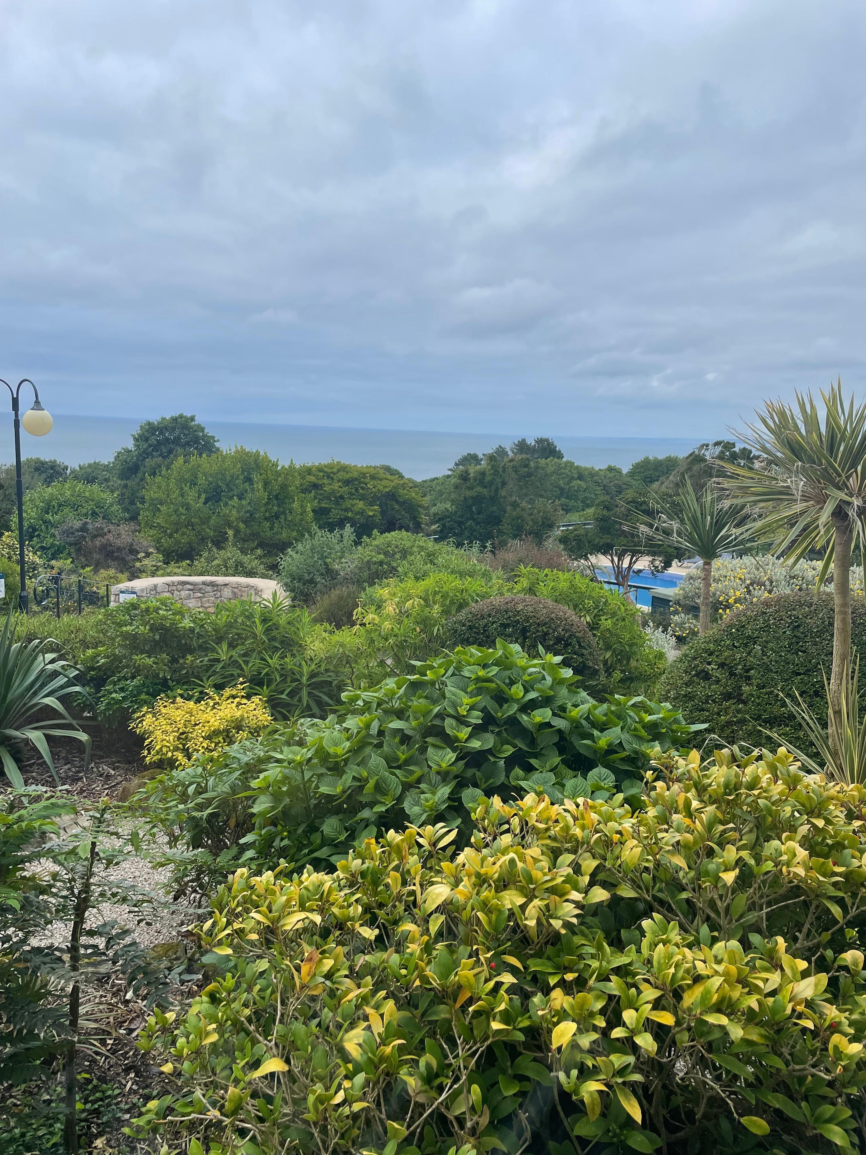 View from the restaurant