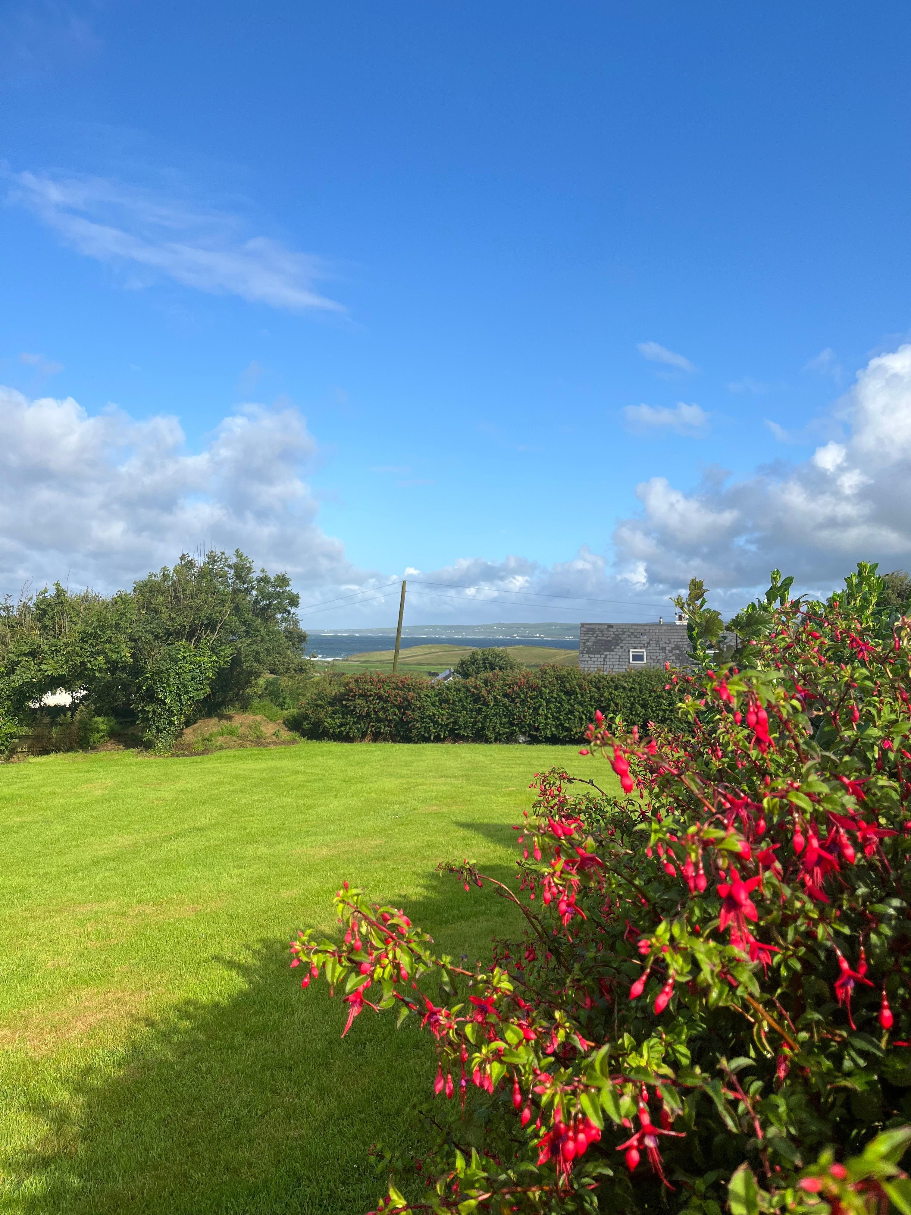 View from the house! 