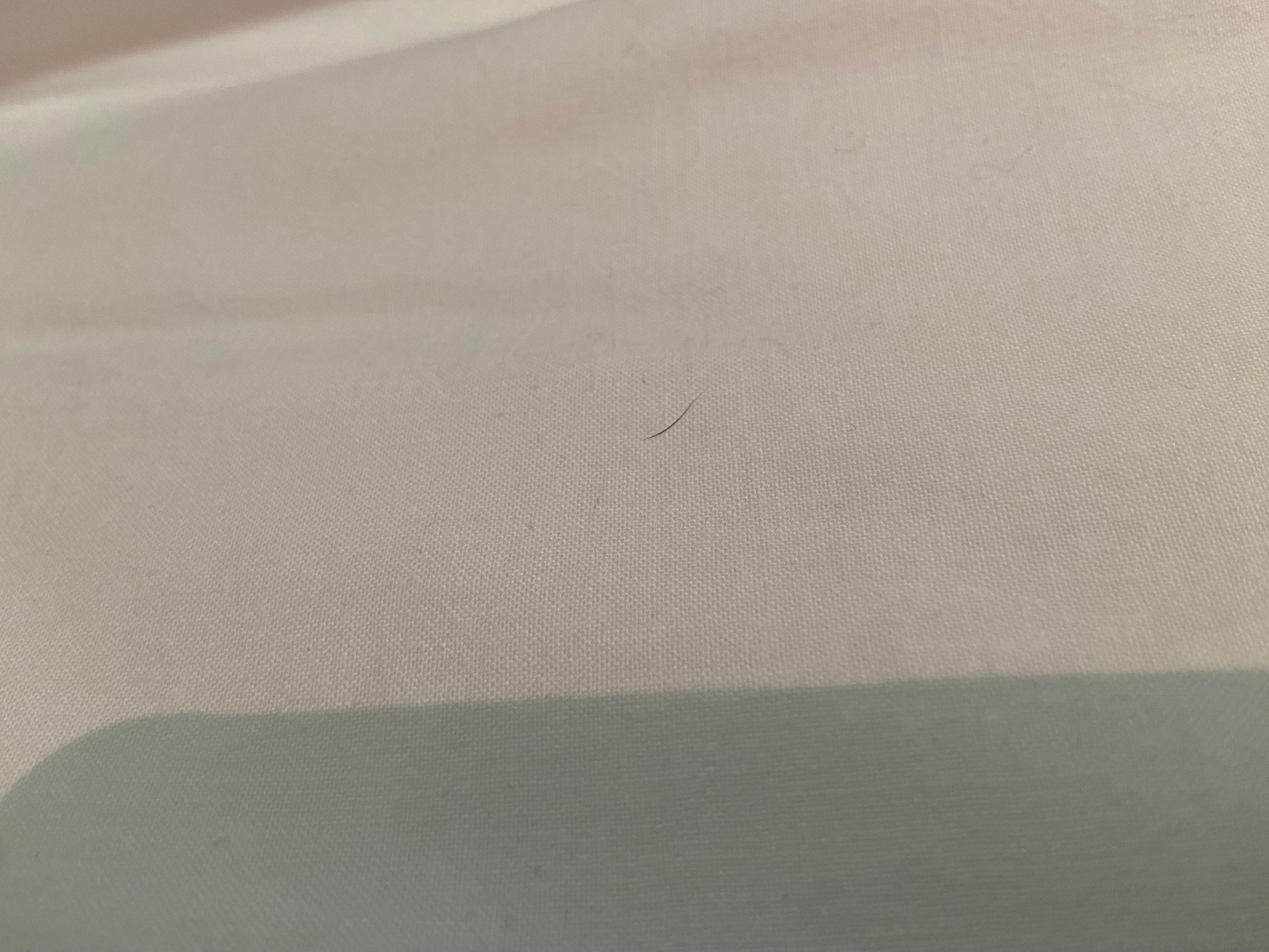 Unknown Hairs on bed sheets