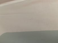 Unknown Hairs on bed sheets