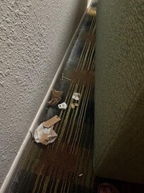 Garbage behind sofa