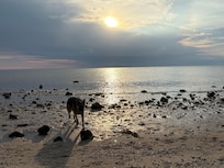 Nearby Horseshoe Beach is a great place to take sunset photos and have your dog fetch a stick in the gulf.