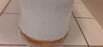 Urine stains