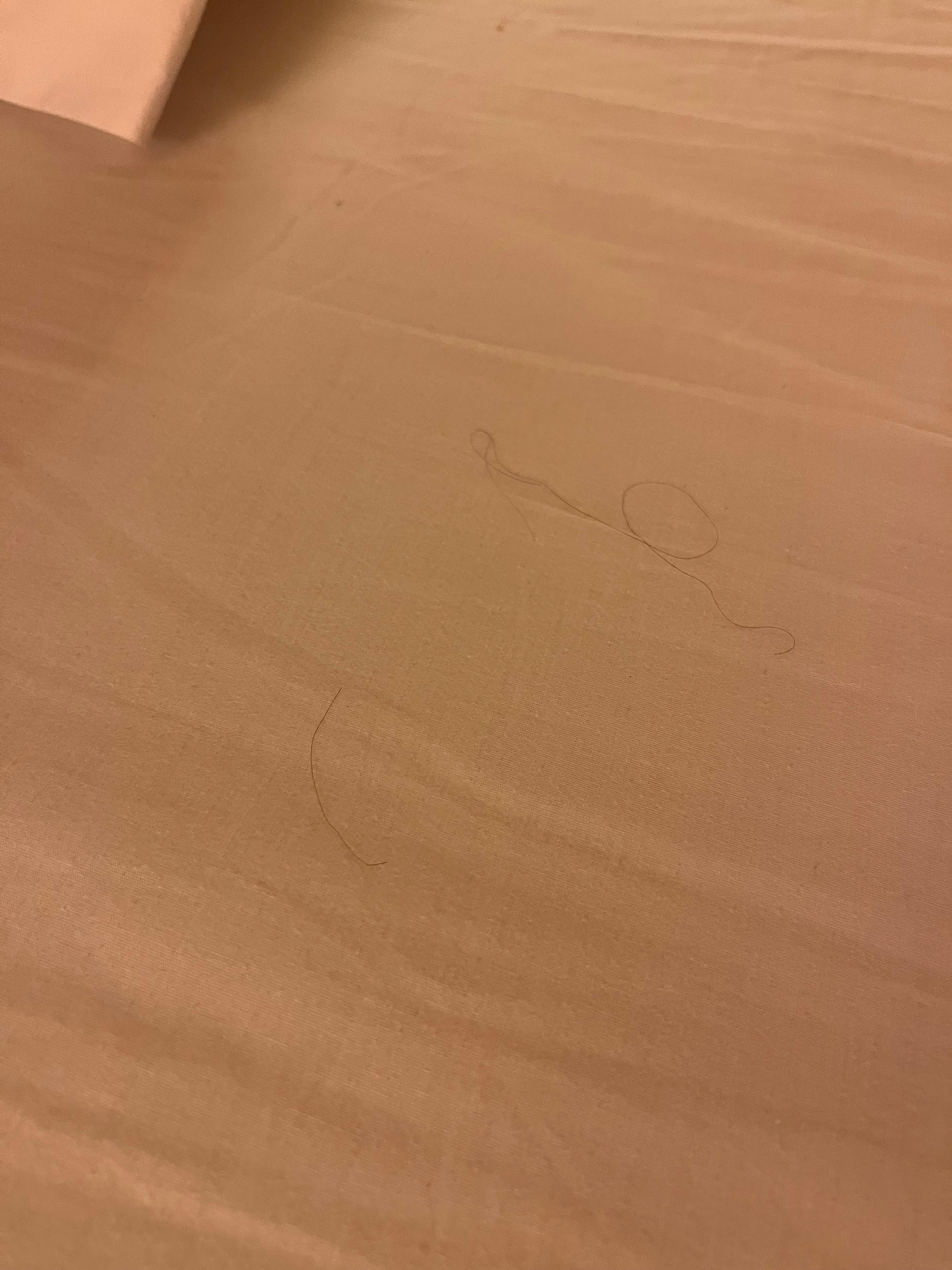 Long black hairs. Not mine on sheets and pillows. One pillow smelled like perfume.