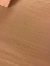 Long black hairs. Not mine on sheets and pillows. One pillow smelled like perfume.
