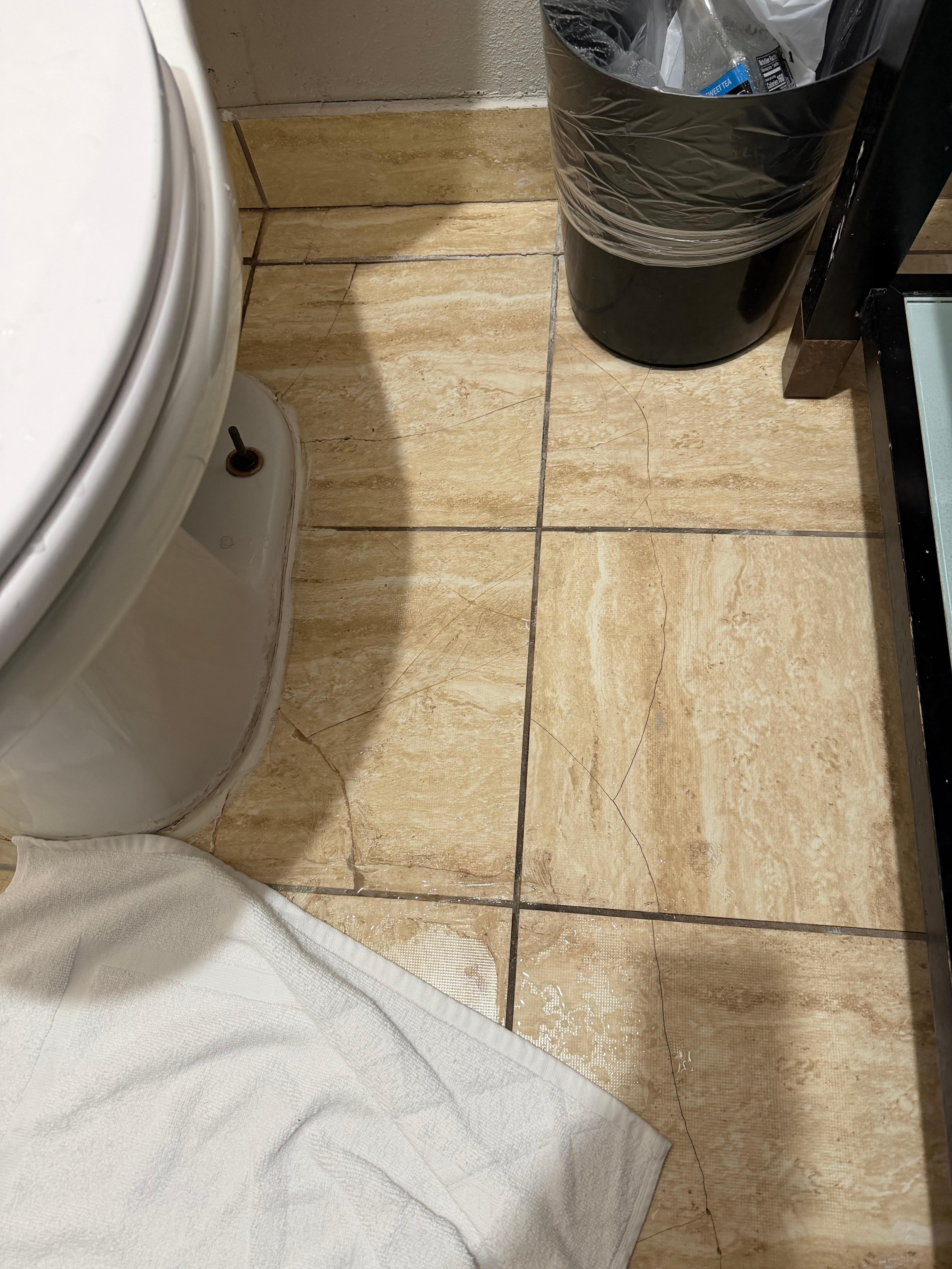 I’m not sure if it’s visible but I did take photos of all the water on the floor and toilet