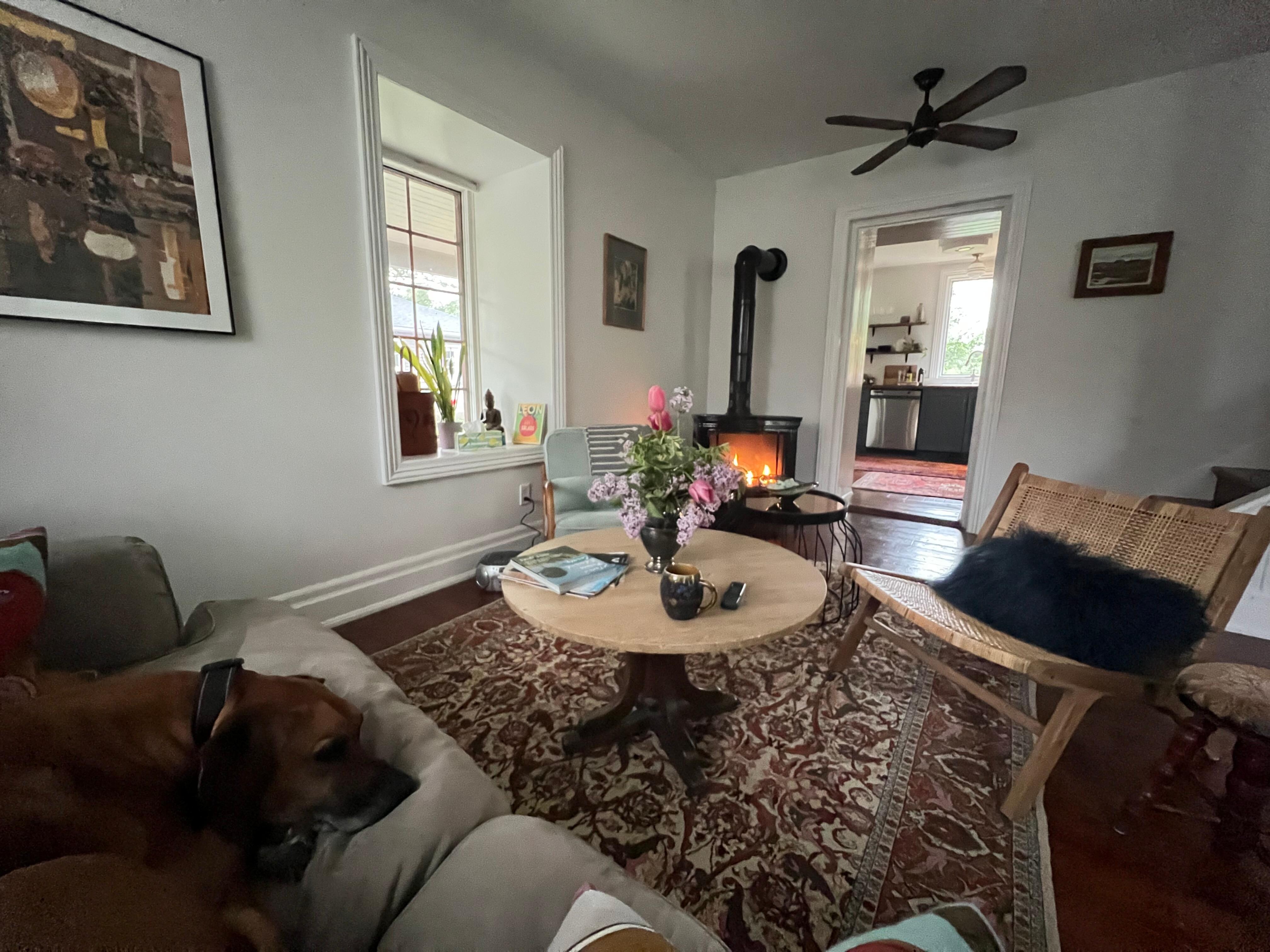 Wide view of living room - dog friendly rental