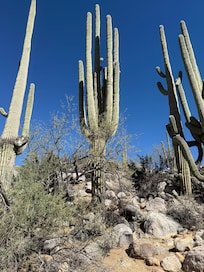Catalina State Park