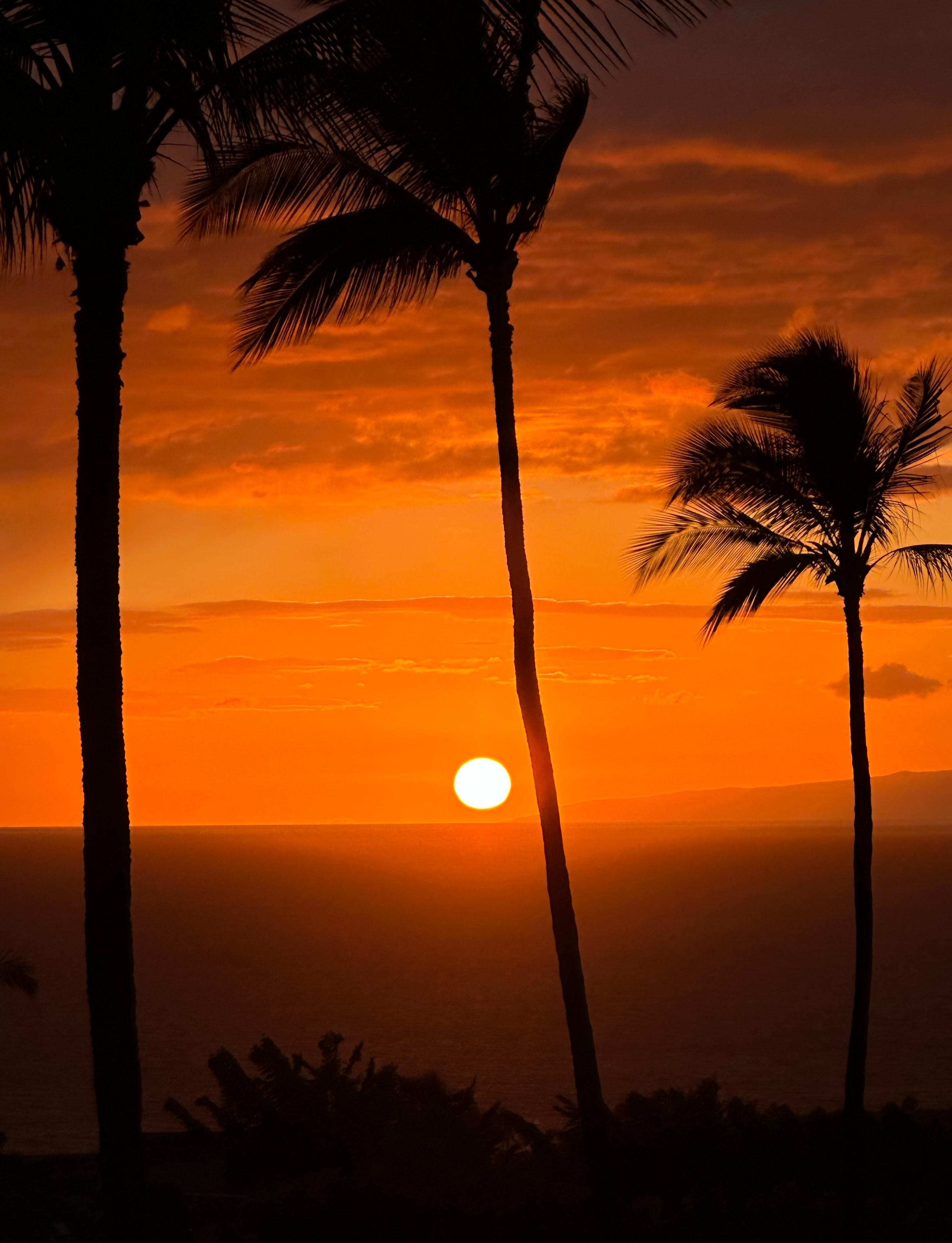 Sunset from the lanai - taken with an Iphone.