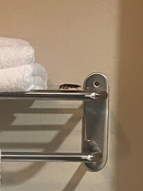 Our uninvited guest