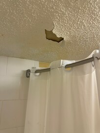 Bathroom ceiling