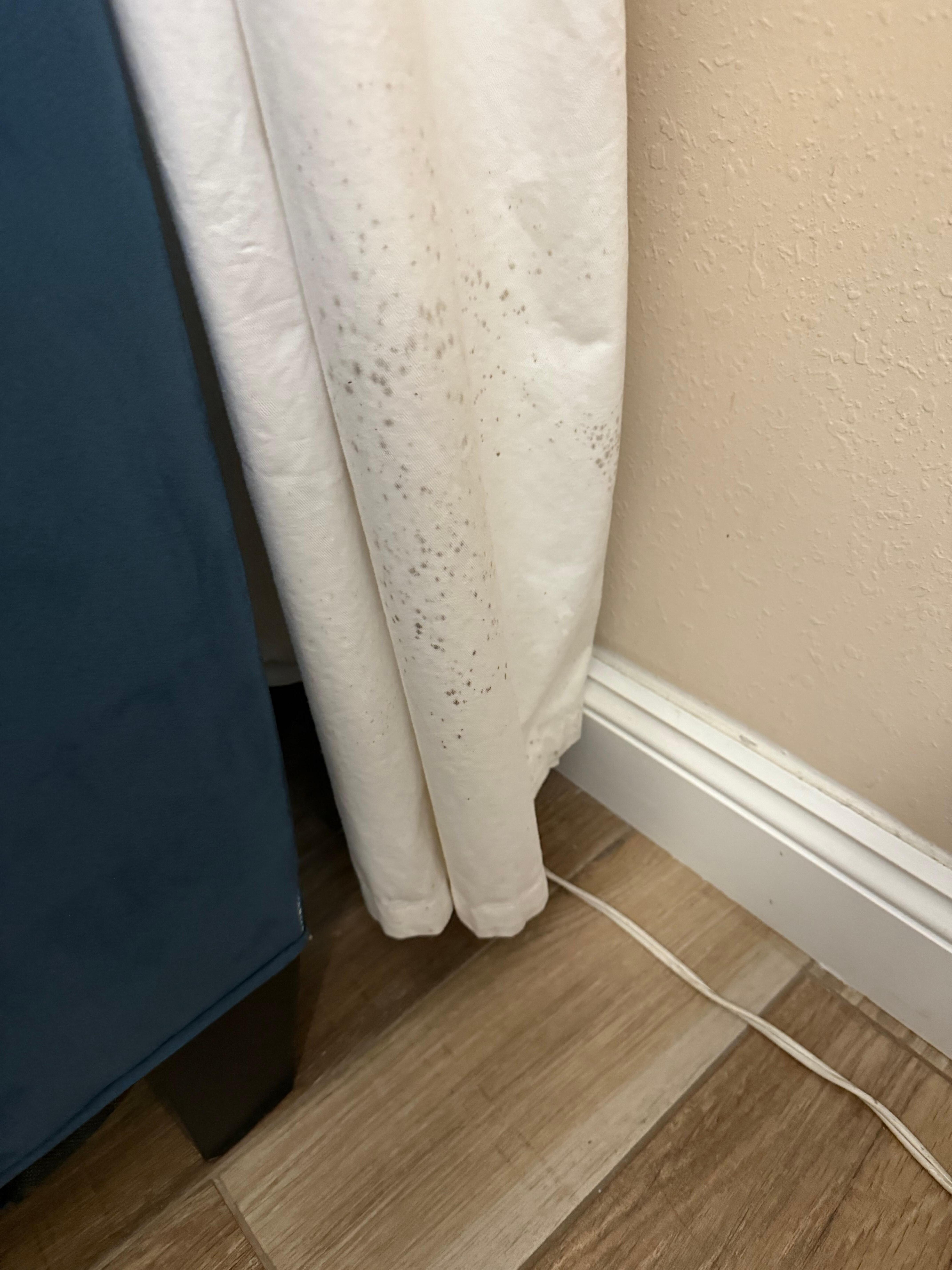 Curtains 
