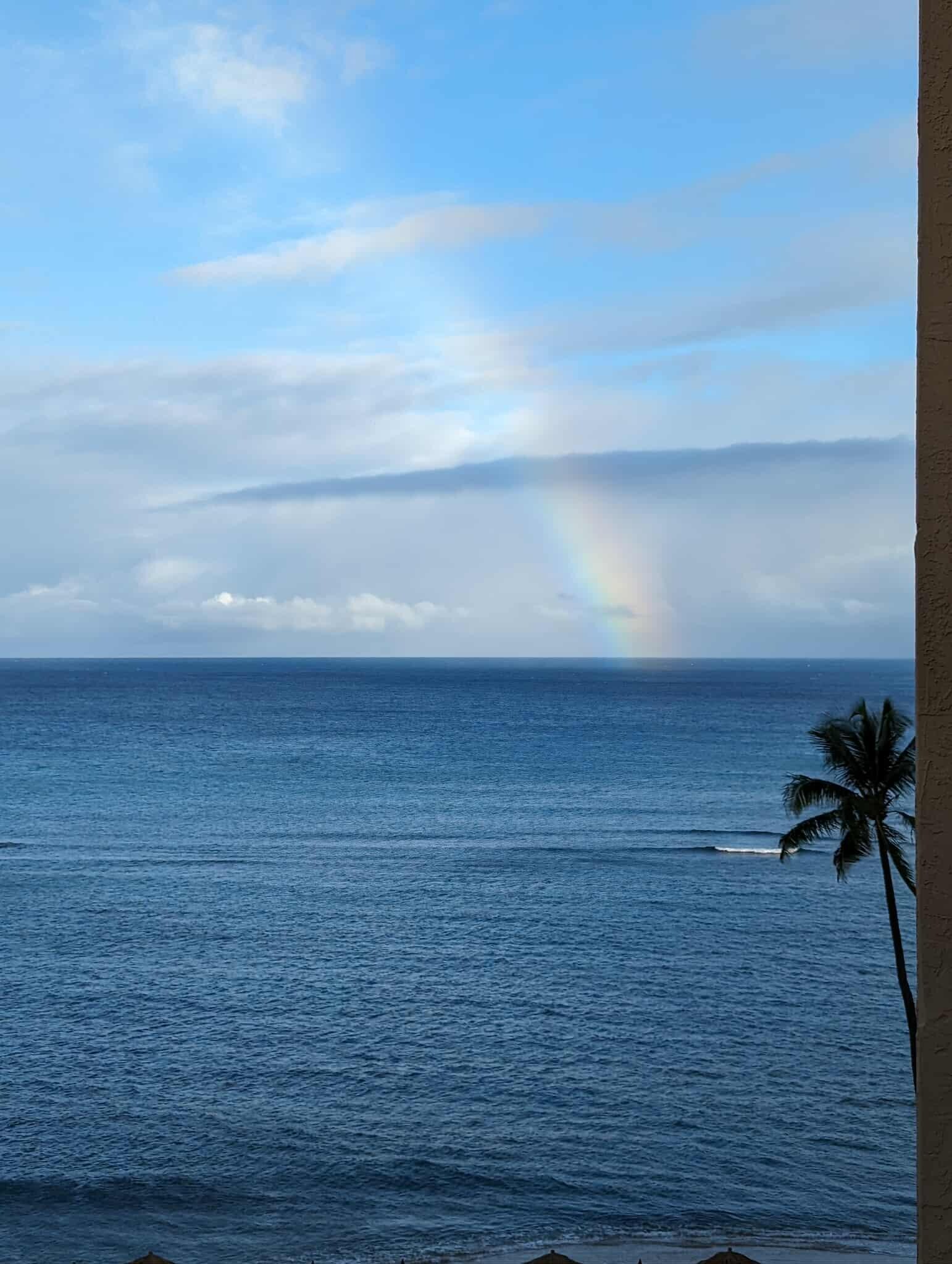 From the balcony of 719.