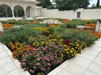 Only one of many gardens at the Hamilton Gardens
