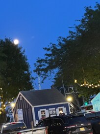Art shanties!