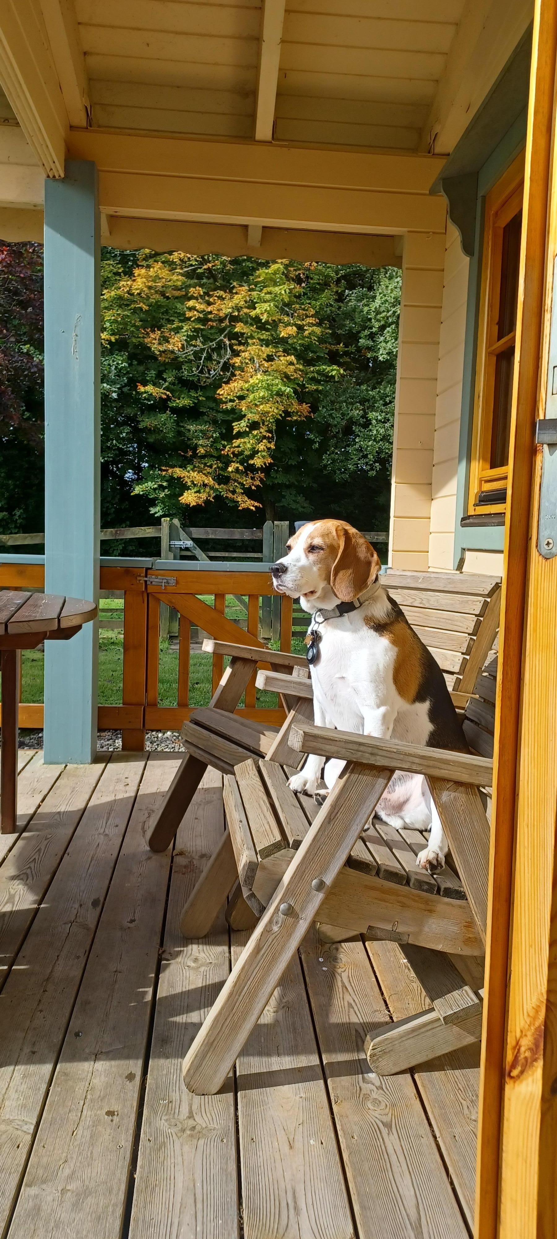 I will breakfast on the terrace this morning.