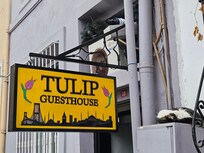 Many nice cats in the area...