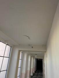 $700 a night for falling plaster